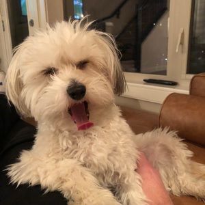 Meet your Posher, Jeffrey